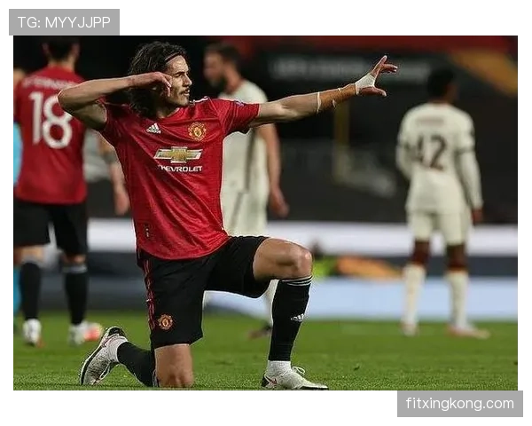 卡瓦尼与伊布进攻触点提升如何塑造单点驱动模式的差异