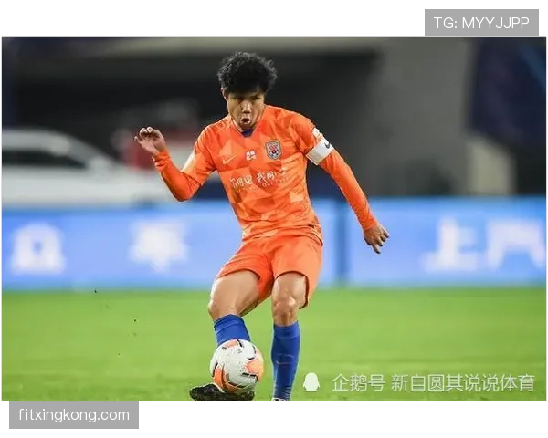 琼阿梅尼：战术角色与表现稳定性是否被高估？